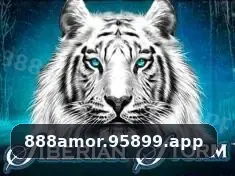 888amor